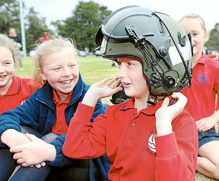 Bird Goes To School Mpnewsmpnews