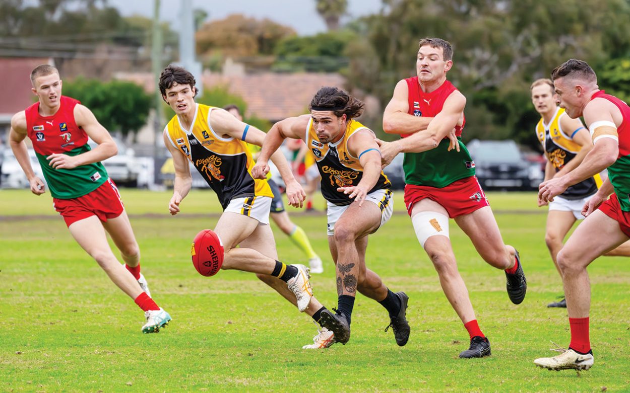 Stonecats pounce: Frankston YCW were too good for Pines, picking up a 35-point win. Pictures: Craig Barrett