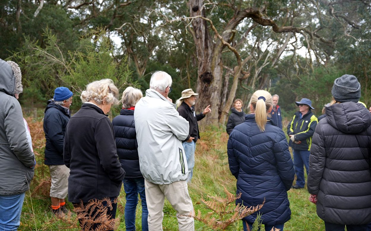 Land lessons: Learning about native bushland and how to restore it has been a focus for landholders involved in the ‘Meet Your Bushland’ pilot program. Picture: Supplied