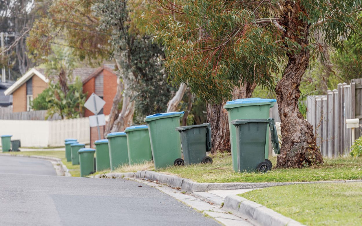 BINS lined up along Robertson Drive Mornington. Picture: Gary Sissons