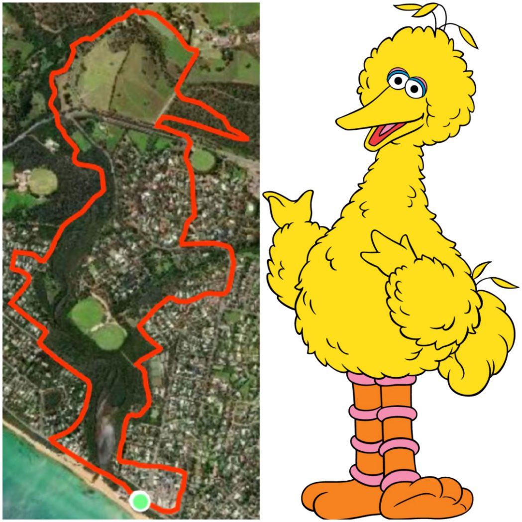 THE Big Bird route mapped around Mount Martha. 

Pictures: Supplied