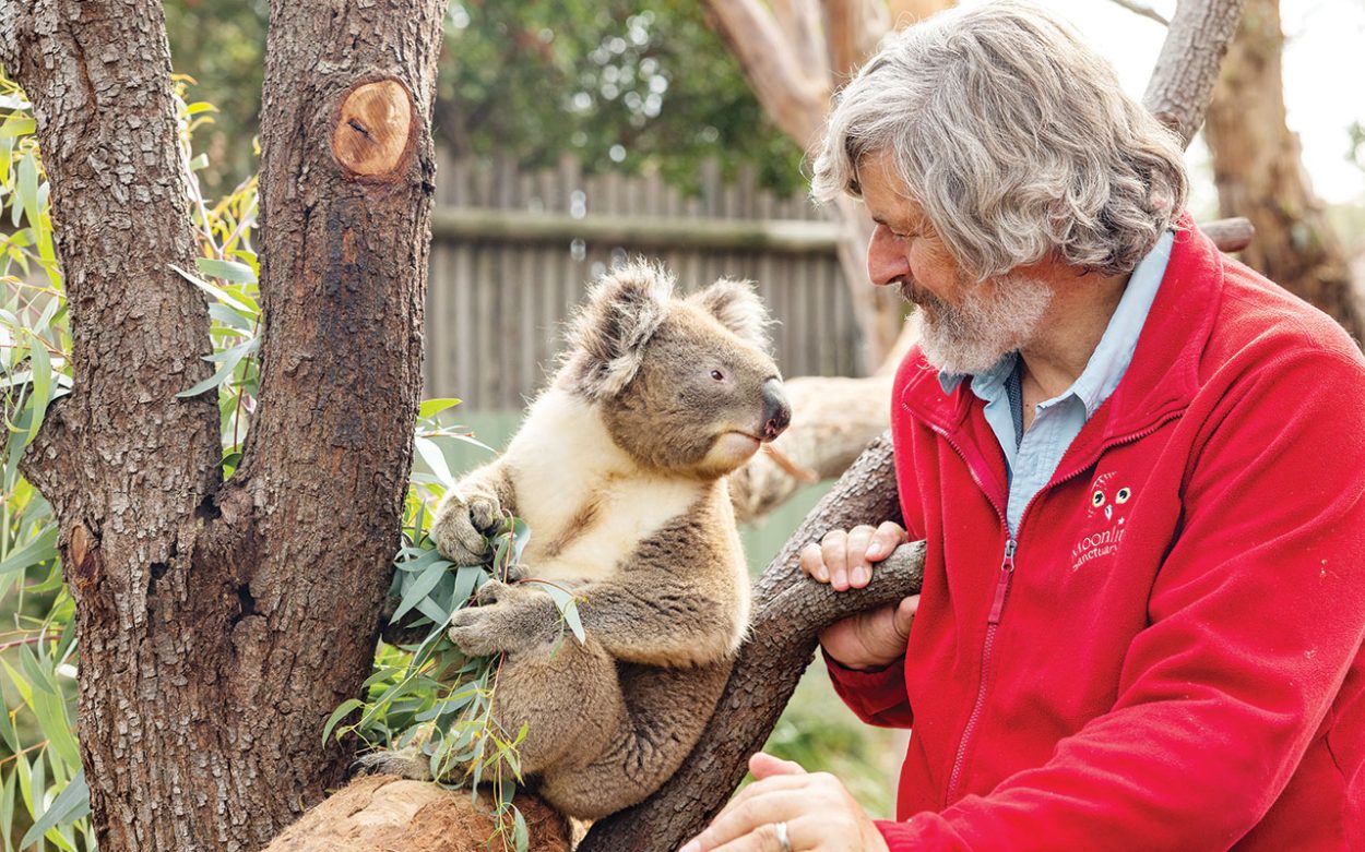 MOONLIT Sanctuary Wildlife Conservation Park director and founder Michael Johnson is committed to ensuring koalas thrive in the region. Picture: Moonlit Sanctuary