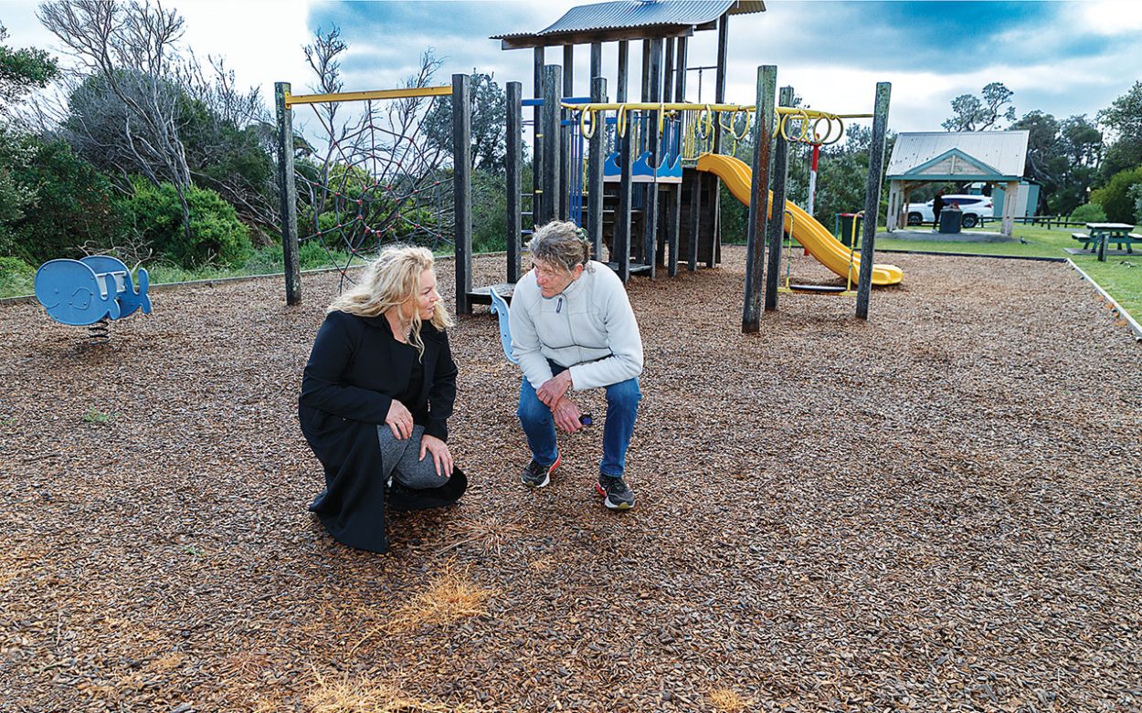 SUSAN Bissinger and Teresa Baker inspect poisoned weeds after controversial glyphosatebased weed killer, Roundup, was used at a playground at Rye Bicentennial Park. Picture: Yanni