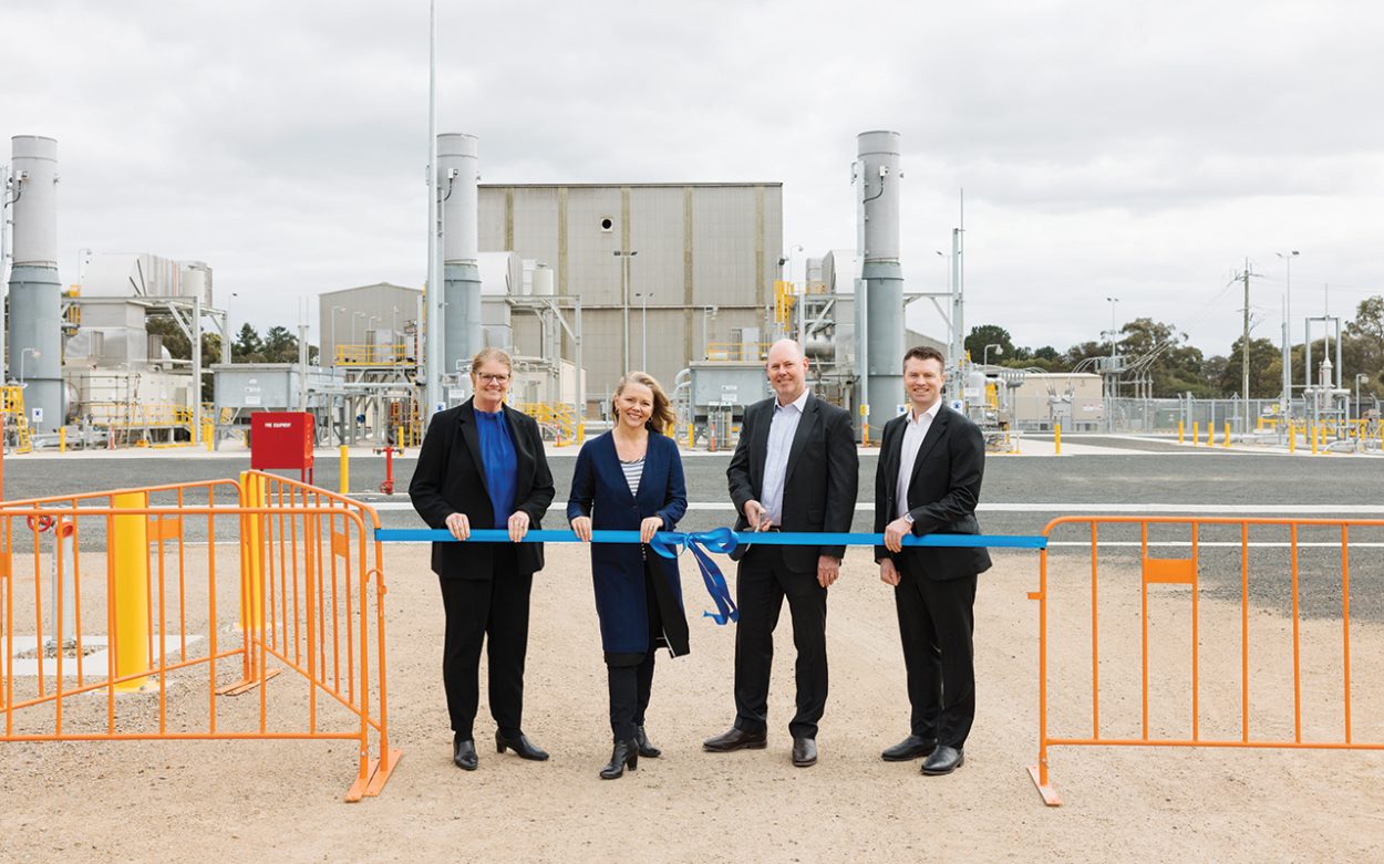 REPRESENTATIVES of ExxonMobil Australia and Woodside Energy, along with Flinders MP Zoe McKenzie open the new ethane-generated power facility. Picture: Supplied